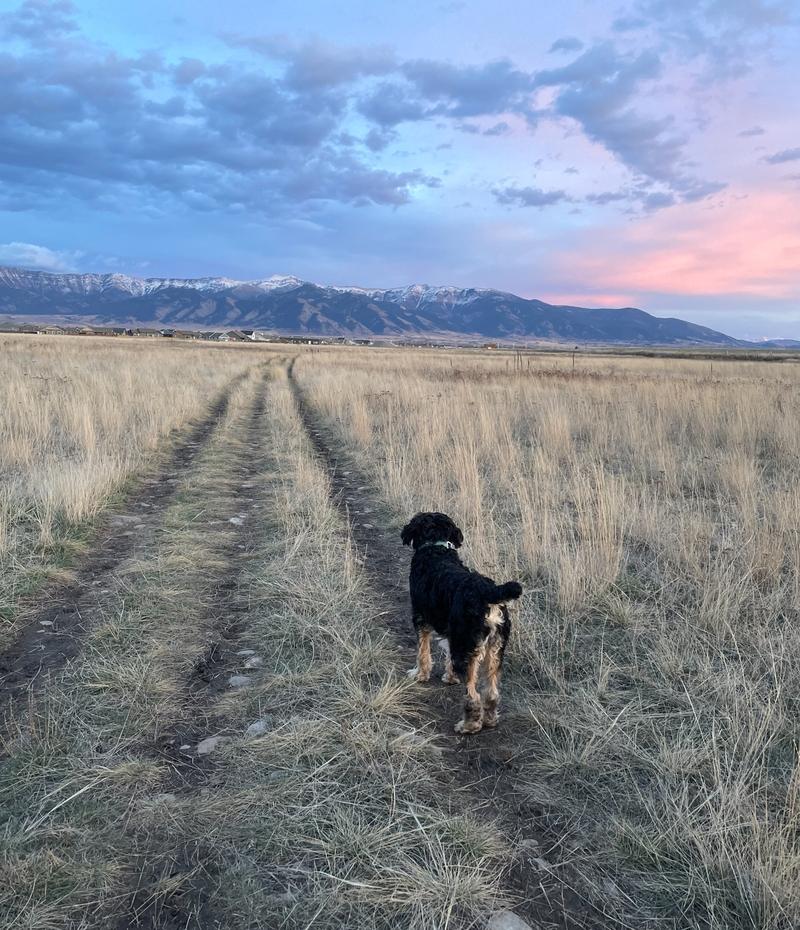 Another day in paradise